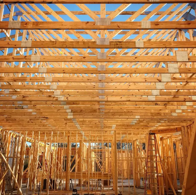 Roof trusses and wall framing